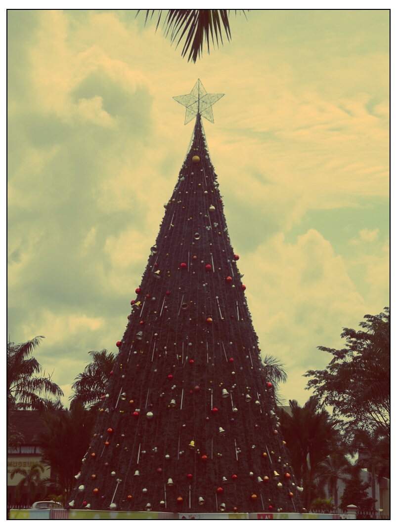 A Huge Christmas tree